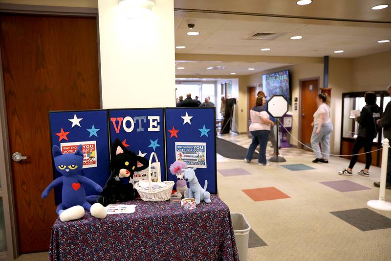 Kane County residents line up to vote in the General Election inside the Town and Country Library on Tuesday, Nov. 5, 2024 in Elburn.