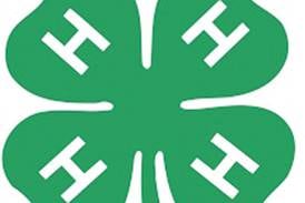 Kids can explore life as a veterinarian at 4-H workshop in Rock Falls
