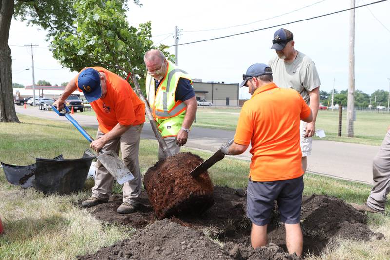 Buster Taylor (from left), Dennis Taylor,  Josh Taylor and Quint Quiram recently planted one of the trees on Gosse Boulevard in Princeton as part of the city's "Plant 100 trees a Year" for the next 10 years program. One tree was planted behind City Hall in honor of former Mayor Joel Quiram.