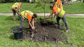 Homeowners pitch in to plant new trees in Oregon