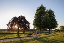 $1.2M investment into Limestone’s Hawkins Park complete