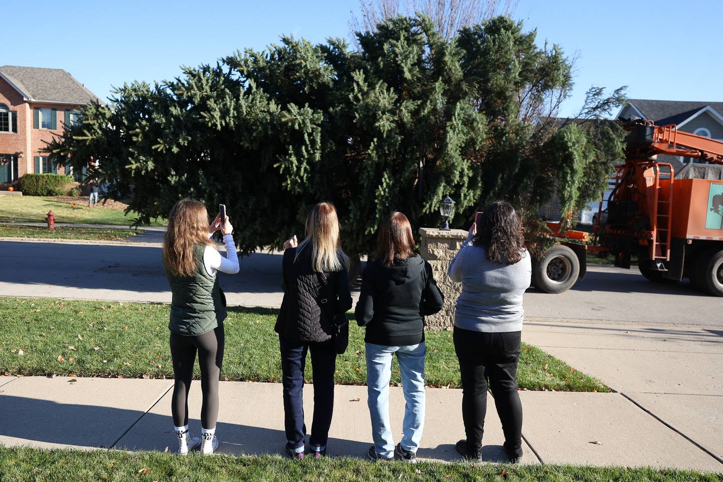 A tree leaves on a flat bed trailer as Emma Carter, Pat Todd, Paula Lipuma and Amy Carter, who donated the Christmas tree, watch as it leaves the Plainfield subdivision for downtown Joliet on Thursday, Nov. 9, 2023.