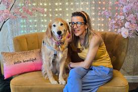 Pet rescues flag urgent need for more foster homes amid decline