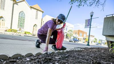Beautify Dixon gears up for summer season with monthly cleanup