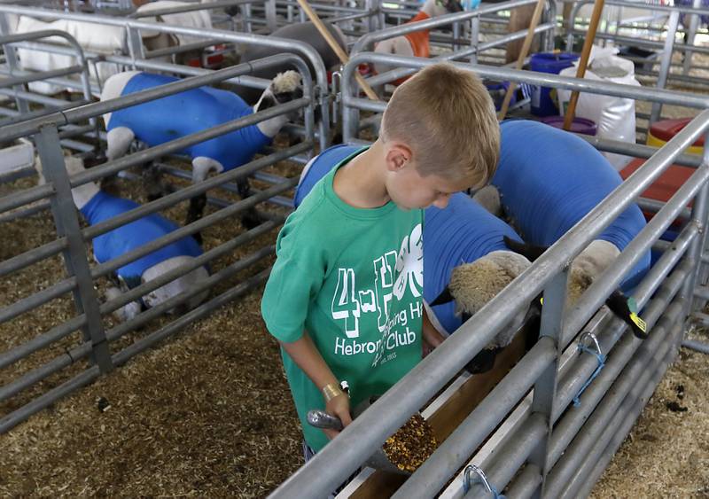 Hunter Berg feeds his sheep Flopsy and Mopsy during the first day of the McHenry County Fair Tuesday, August 2, 2022, at the fairgrounds in Woodstock. The fair funs through Sunday, Aug. 7.  Entry to the fair is $10 for anyone over age 14, and $5 for chidden ages 6 to 13. Ages 5 and under are free.
