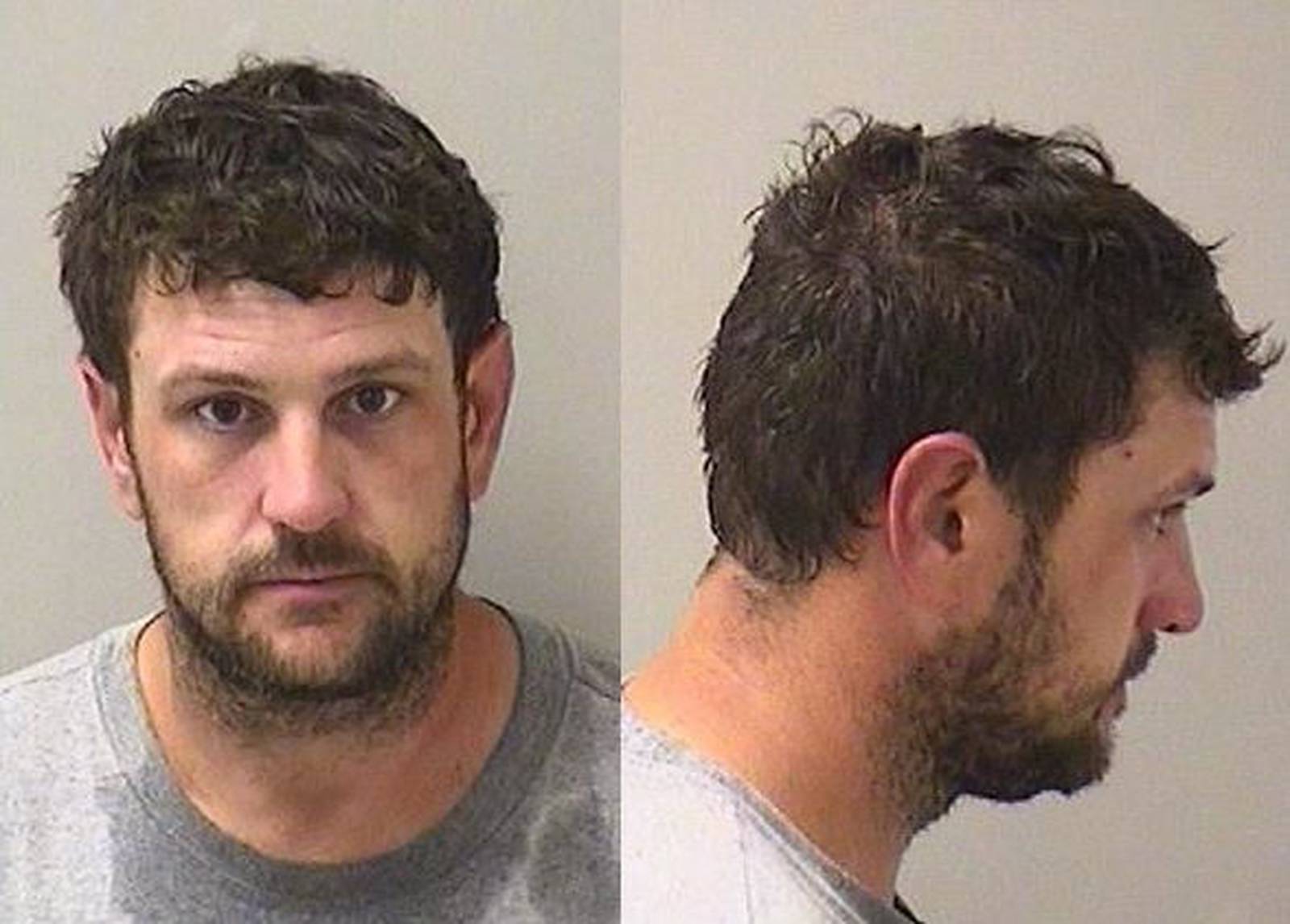 Plato Twp. man gets 4 years probation in felony domestic battery case