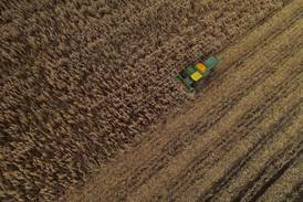 Economist: Significant surprises in USDA crop report