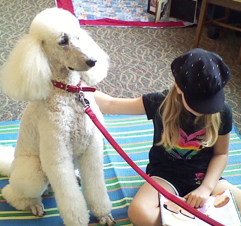 Yorkville Public Library's "Read With Paws" event pairs learning the joys of reading with dogs provided by the Fox Valley Therapy Dog Club.