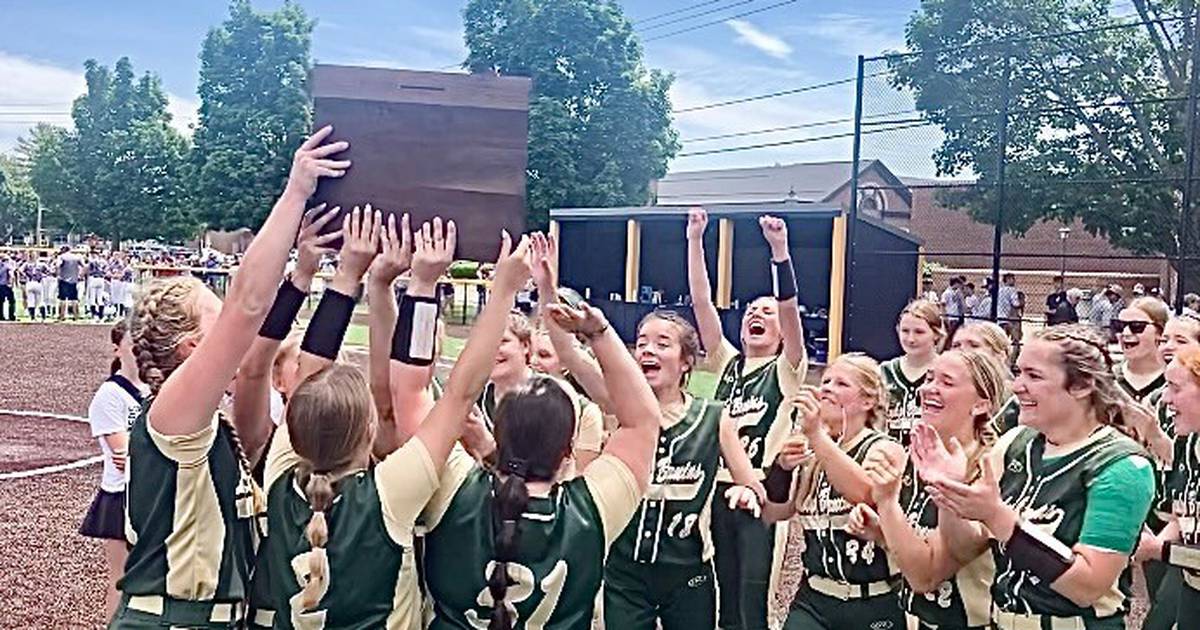 Softball St. Bede peels Orangeville 61, punches ticket back to state