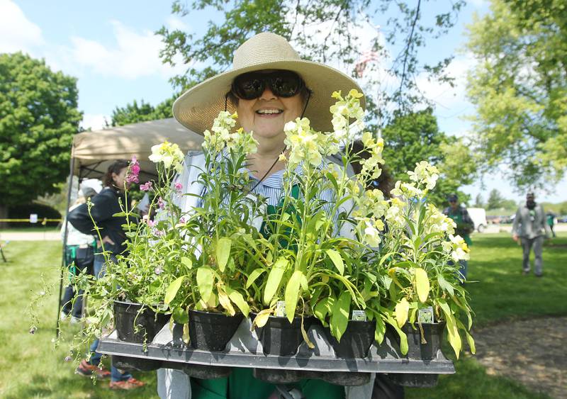 Chris Cheney, of Deerfield, master gardener, carries some Sugar Rush Primrose Wallflower perennial plants Saturday, May 20, 2023, during the Lake County Extension Master Gardener Spring Plant Sale at the University of Illinois Extension in Grayslake.