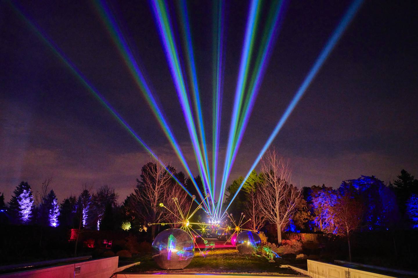 Sky Light Magic is one of the new attractions of Illumination: Tree Lights at The Morton Arboretum.