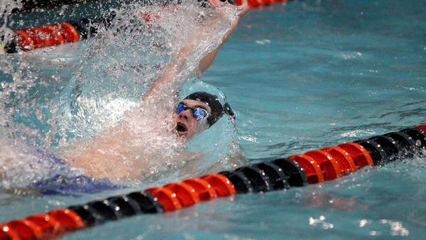 L-P/Ottawa, Princeton swimmers look to advance to second day of state meet