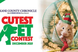 December Cutest Pet Contest