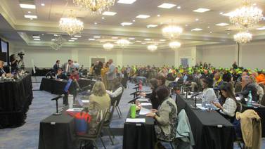 Will County Board, under court order, approves solar projects