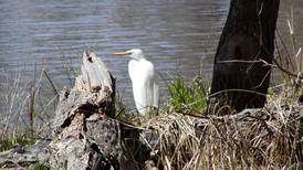 Areas of Upper Mississippi River Refuge will be closed or restricted