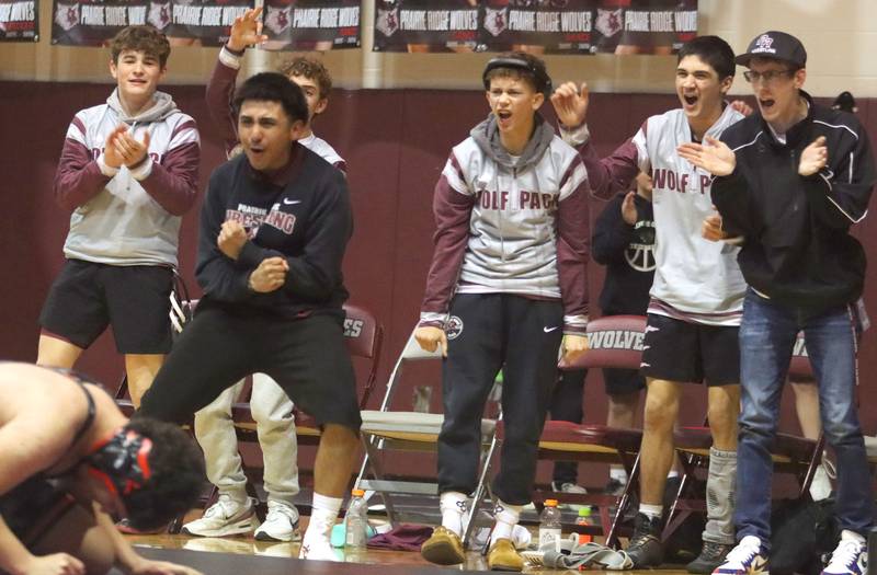 Prairie Ridge’s wrestlers cheer for the Wolves against McHenry in varsity boys wrestling on Thursday, Jan. 8, 2026 at Prairie Ridge High School in Crystal Lake.