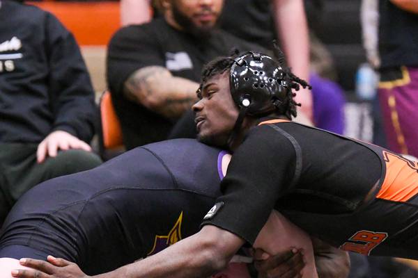 2026 Daily Chronicle Boys Wrestling All-Area Team