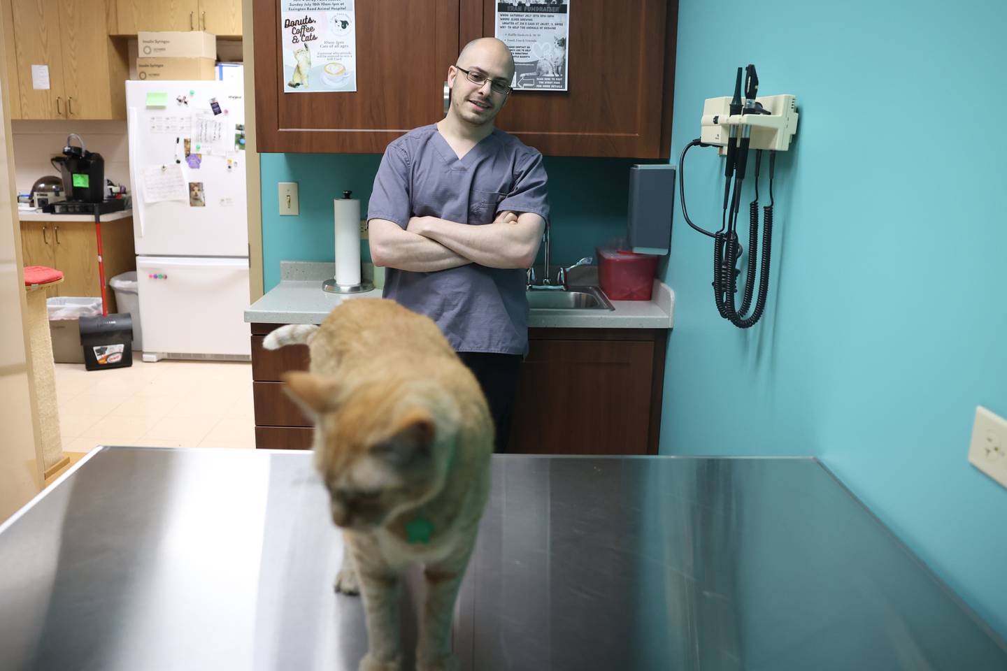 Dr. Adam M. Abou-Youssef, owner of Essington Road Animal Hospital, watches Anchises as he walks on the exam table.