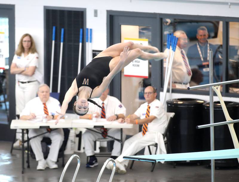 Wheaton North’s Elianna Moody dives during the IHSA Girls State Championships on Saturday, Nov. 16, 2024 at FMC Natatorium in Westmont.