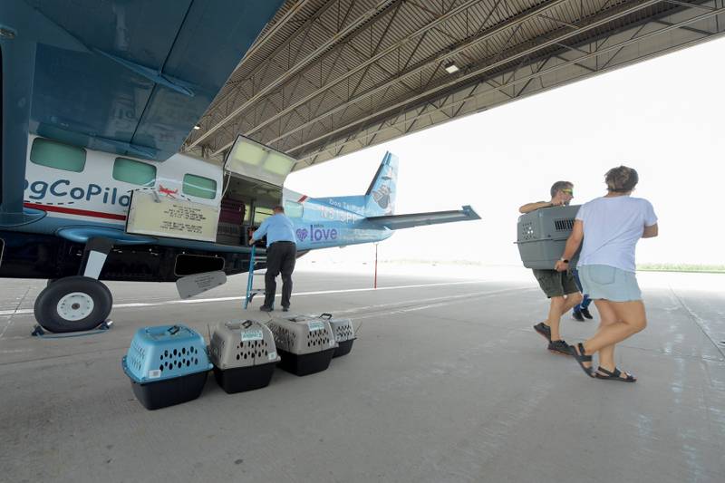 Dogs and cats rescued from the recent Texas Floods are unloaded from a Dog Is My CoPilot flight at the Aurora Municipal Airport on Thursday, Jul 24, 2025 in Sugar Grove.