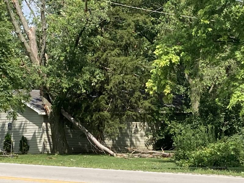 A tree lies against a house at the intersection of North Cooper Road and Francis Road in New Lenox on Tuesday, July 16, 2024.  Will County communities were slammed by an intense storm Monday night that reportedly spawned several tornadoes, although officials were still trying to confirm any touchdowns.