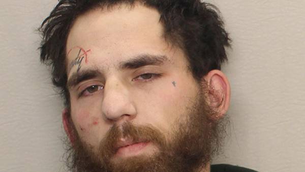 Leaf River man pleads not guilty to multiple charges following arrest for fleeing police