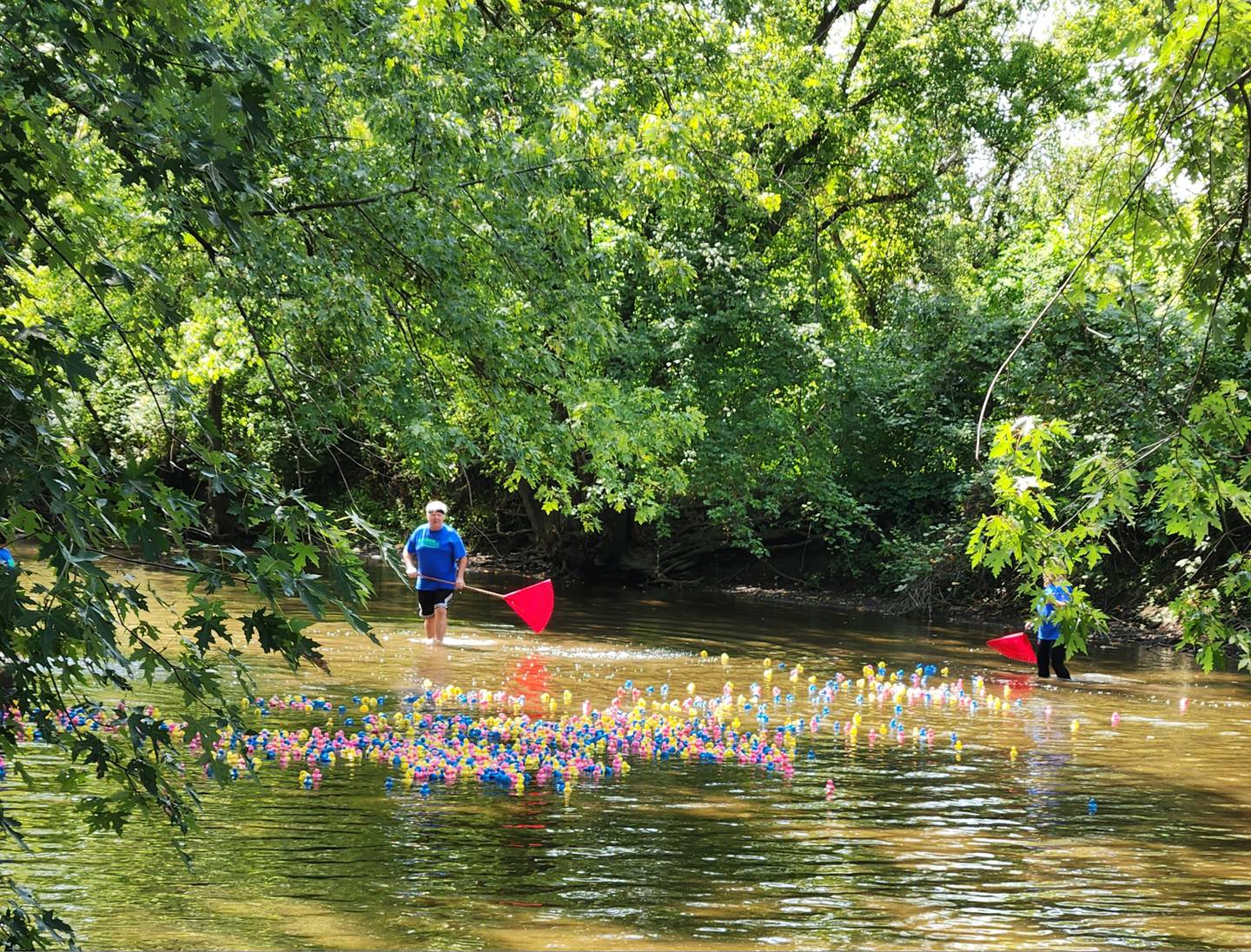 Celebrate a decade of Volksfest from Sept. 6 through Sept. 9, 2024, along the banks of the beautiful Kishwaukee River in Genoa. The festival will feature the Great Genoa Duck Race (shown) on Sunday, Sept. 9