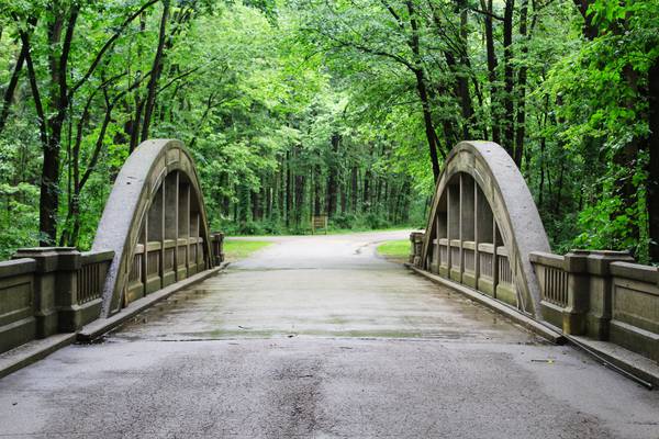 A window into a world of wonder in Winnebago County