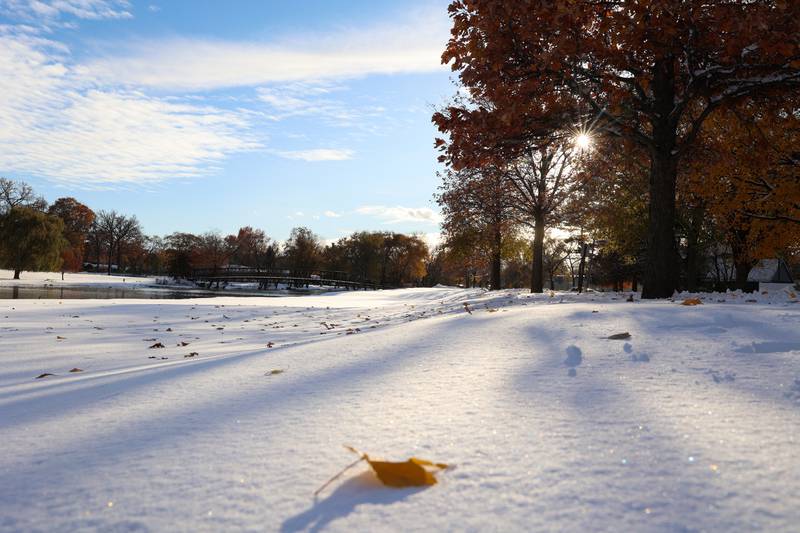 Trees continue to shed their leaves near the Island Park Bridge over the Kankakee River in Momence after approximately 12 inches of snow fell in the early hours of Nov. 10, 2025.