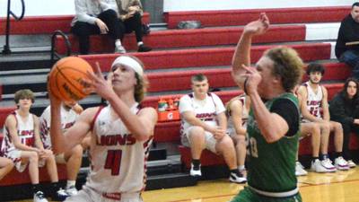 Basketball notebook: Tournament champions crowned at six area boys sites, two girls sites   