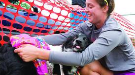 Ogle County dog rescue bringing multiple rescues together for September event in Oregon