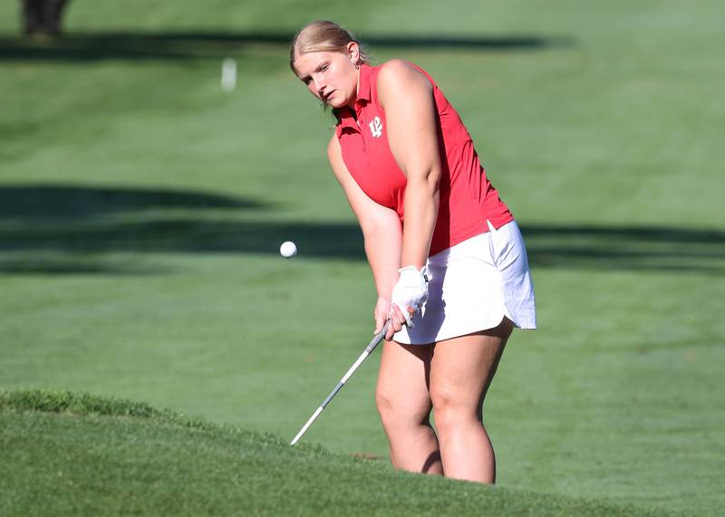 LaSalle-Peru’s Lily Morscheiser chips onto the second green Tuesday, Sept. 23, 2025, during the Interstate 8 girls golf meet at the Sycamore Golf Club.