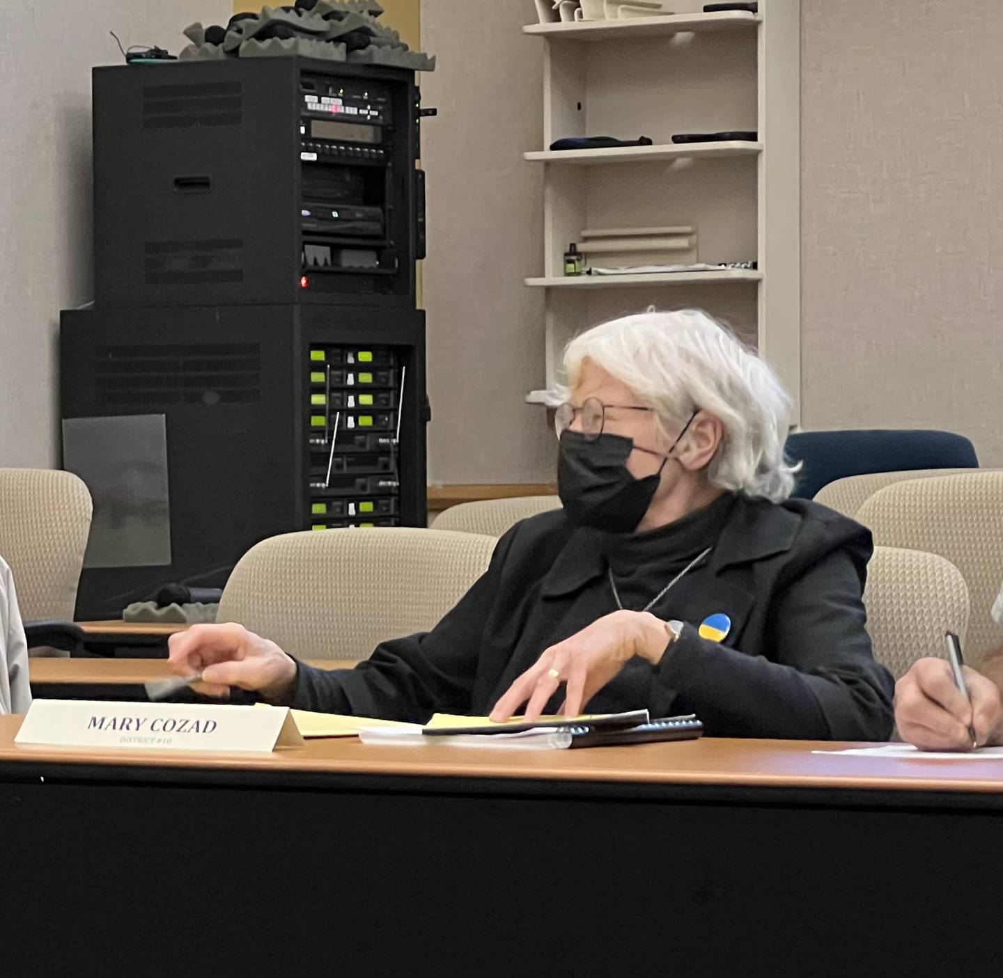 DeKalb County Board member Mary Cozad, a Democrat from District 10, attends the May 22, 2023 Law and Justice Committee meeting.