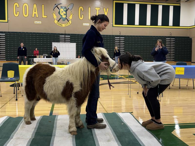 Business teacher Alicia Matusiak kisses a miniature horse after her class raised over $100 to make her do so on Thursday, Feb. 20, 2025.