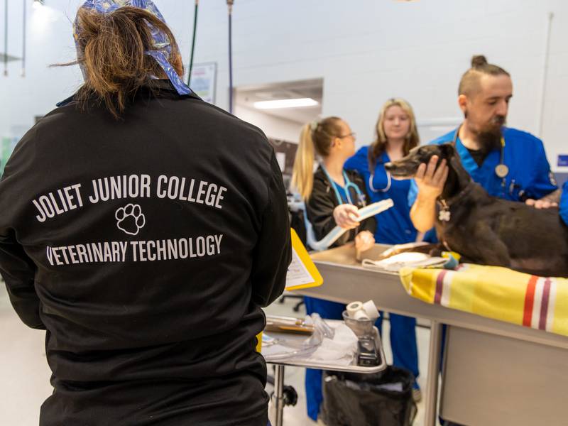 Joliet Junior College partners with local rescues to help pets get homes