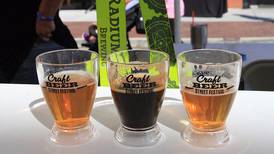 Sip into Summer: Must-visit beer & wine festivals in northern Illinois 
