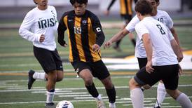 Herscher, St. Anne advance to meet in Saturday’s regional championship