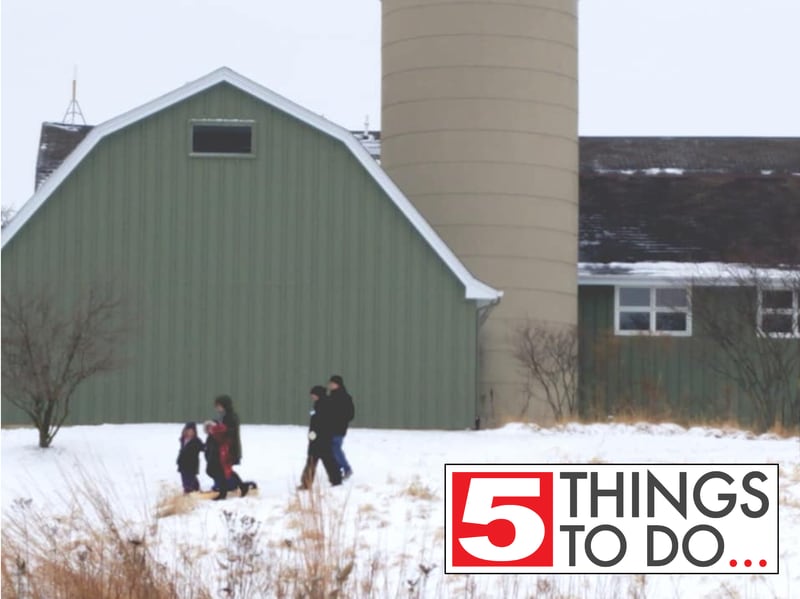 People walk in the snow at WinterFest 2020 at the Volo Bog State Natural Area in Ingleside.