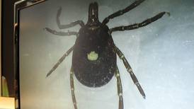 ‘Tiny biters can make you seriously sick’: Prevention key during tick season