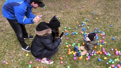 Photos: Cantigny hosts egg hunt and visit with the bunny
