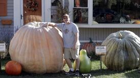 Wheaton man is the best giant-pumpkin grower in Illinois, but he wants a 2,000-pound gourd
