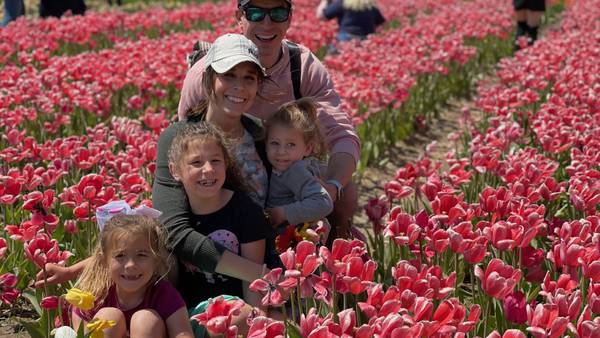 Bloom Season: Must visit flower festivals in the Midwest this spring, summer