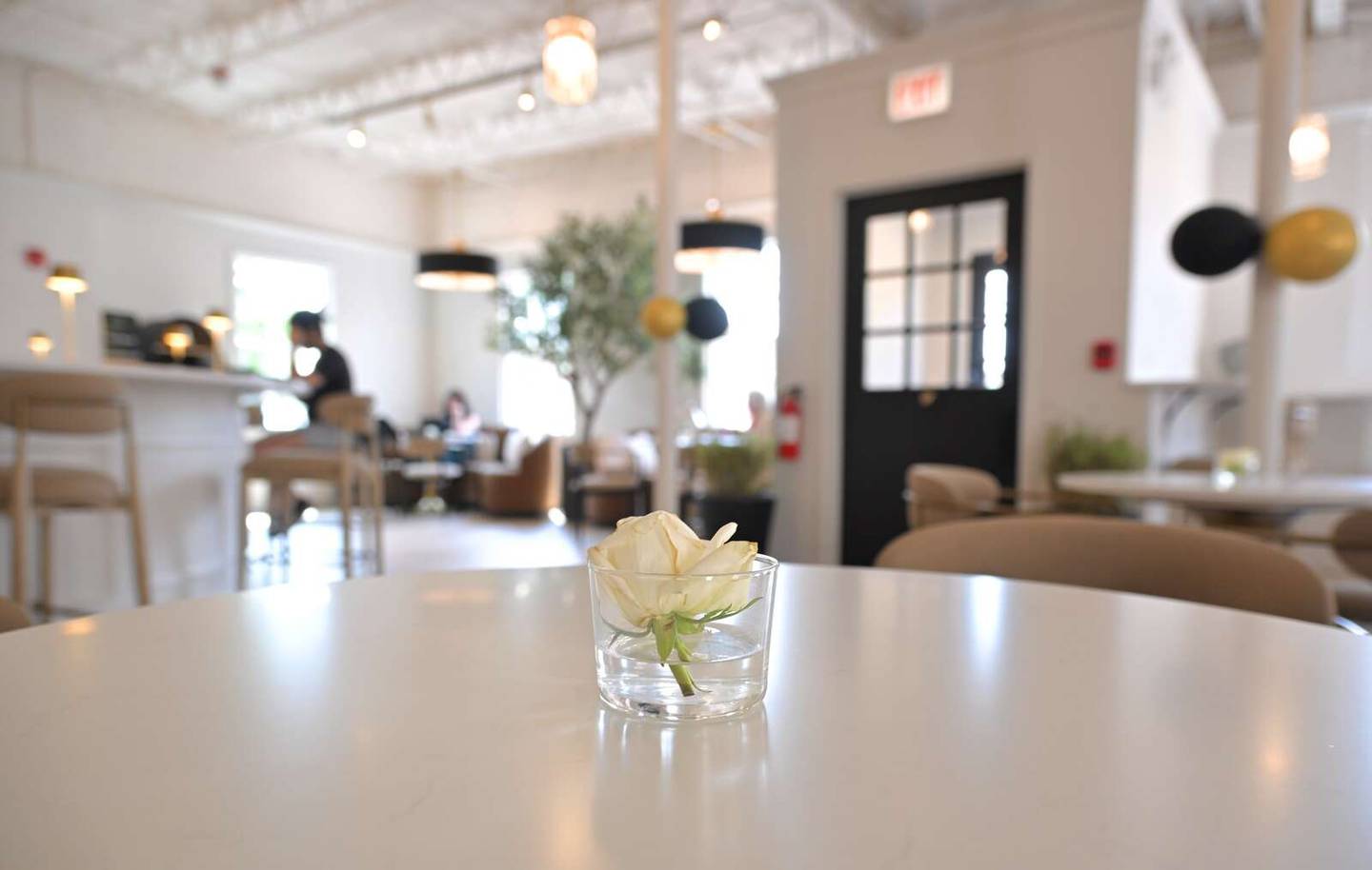 Cut roses grace the individual tables in The Kilns Co-working + Social House in downtown Wheaton.