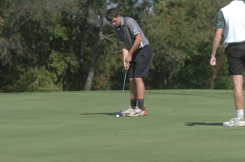 Photo gallery Princeton at Kewanee 2A golf regional Shaw Local