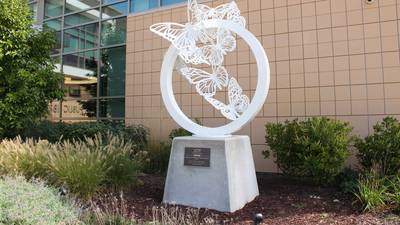 Geneva library to hold upcoming art events and exhibits