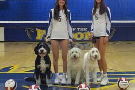 Girls Volleyball notes: Wheaton North seniors bond through volleyball – and love of dogs