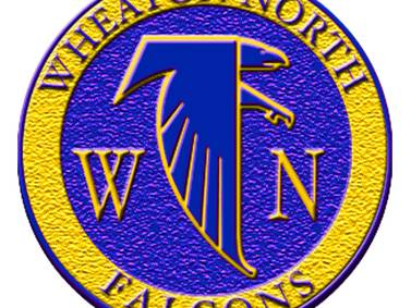 Wheaton North’s Alex Popham strikes out 10 in 8-inning 1-hit shutout: Saturday’s Suburban Life sports roundup
