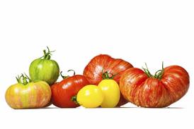 University of Illinois Extension offers free tomato care program April 23
