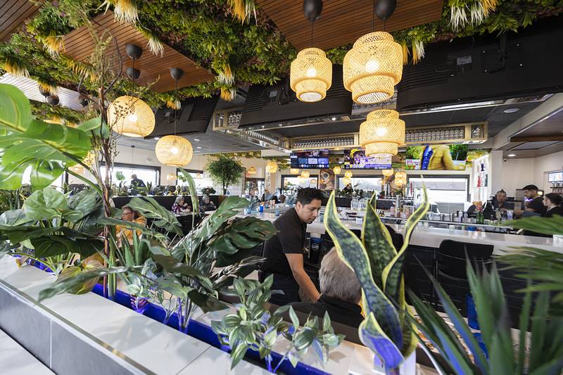 Greenery decorates the walls and ceiling of Azul Cantina as seen Friday, Feb. 13, 2026.