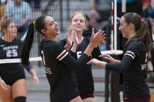 Prairie Ridge returns the favor, sweeps Hampshire